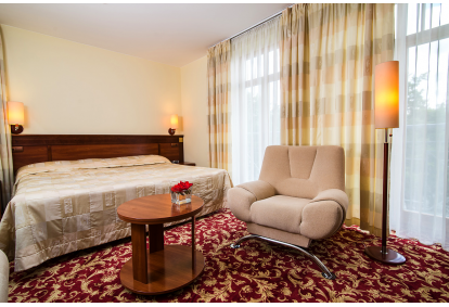 Romantiškas poilsis dviem viešbutyje „Violeta“ Druskininkuose