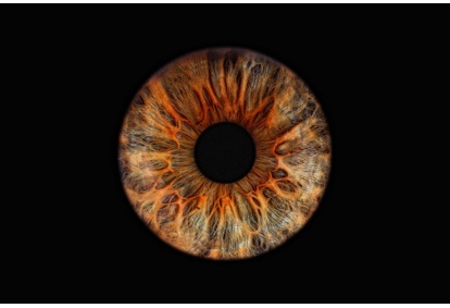 Skaitmeninė akies rainelės fotografija „Eye2Eye“ Kaune