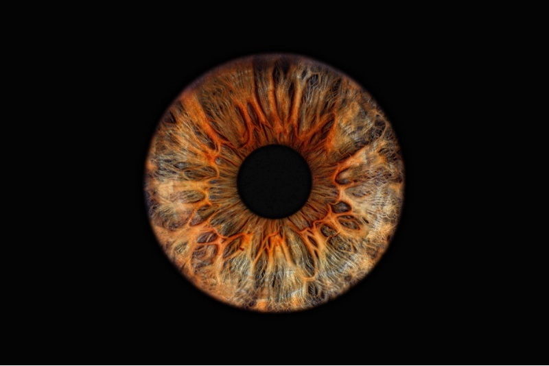 Skaitmeninė akies rainelės fotografija „Eye2Eye“ Kaune