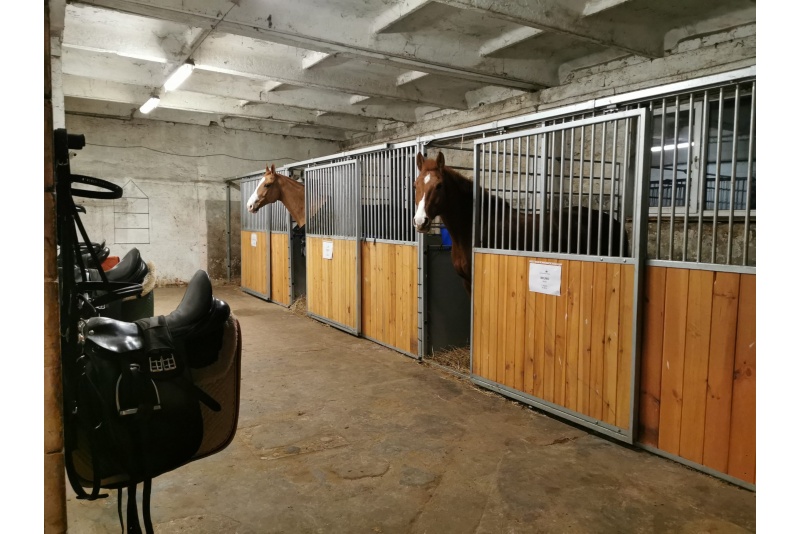 Treniruotė ir pasijodinėjimas žirgais gamtoje dviem Vilniaus apylinkėse