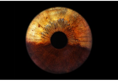 Skaitmeninė akies rainelės fotografija „Eye2Eye“ Kaune