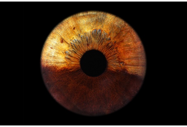 Skaitmeninė akies rainelės fotografija „Eye2Eye“
