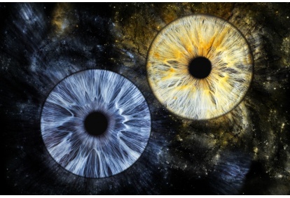 Akies rainelės fotografija ant drobės „Eye2Eye“ Kaune