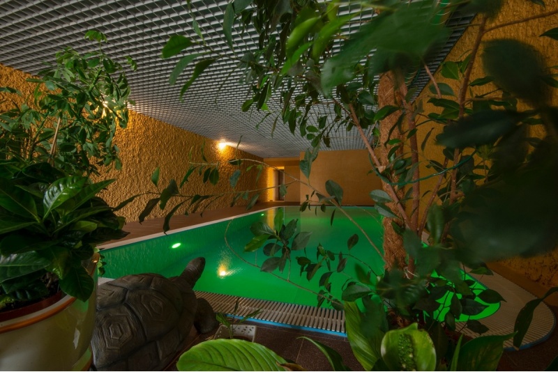 Romantiška nakvynė su SPA apsilankymu „Love story“ viešbutyje „Mūsa Paradise“ SPA&HOTEL