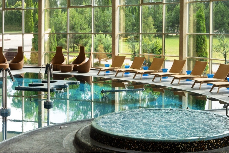 Nakvynė privačioje „Harmony Park“ viloje dviem su SPA