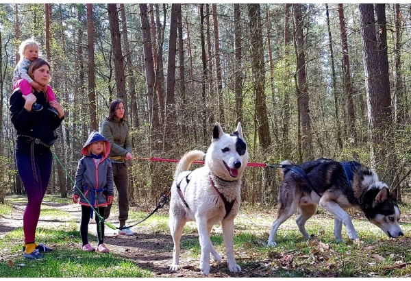 Diena su haskiais „Nuotykių akademijoje“