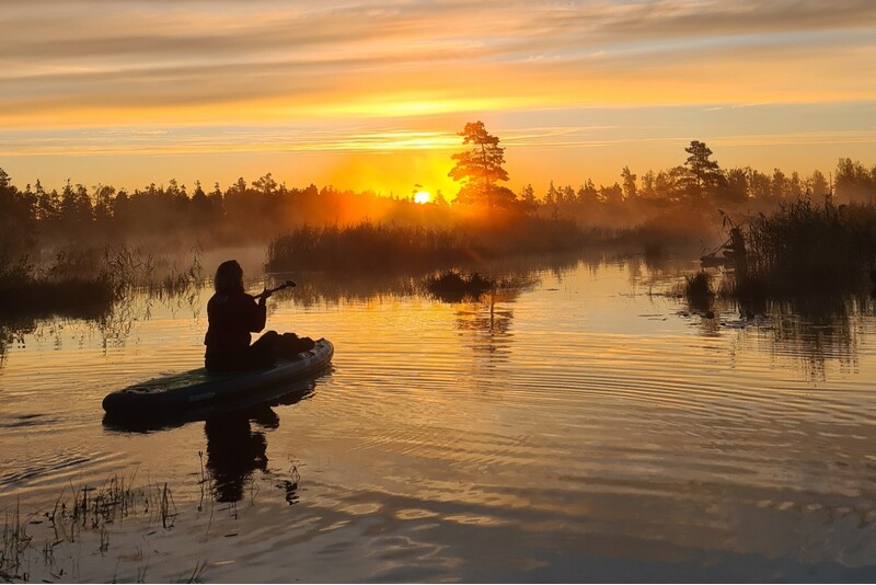 Saulėlydis ant irklentės (SUP) Kemerių pelkėje kartu su „Fab Adventures“