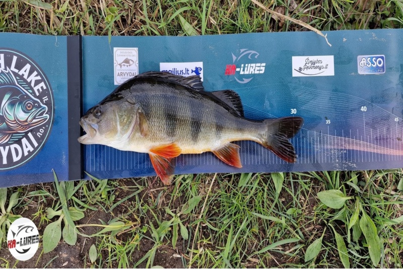 Žvejyba sportiniame tvenkinyje