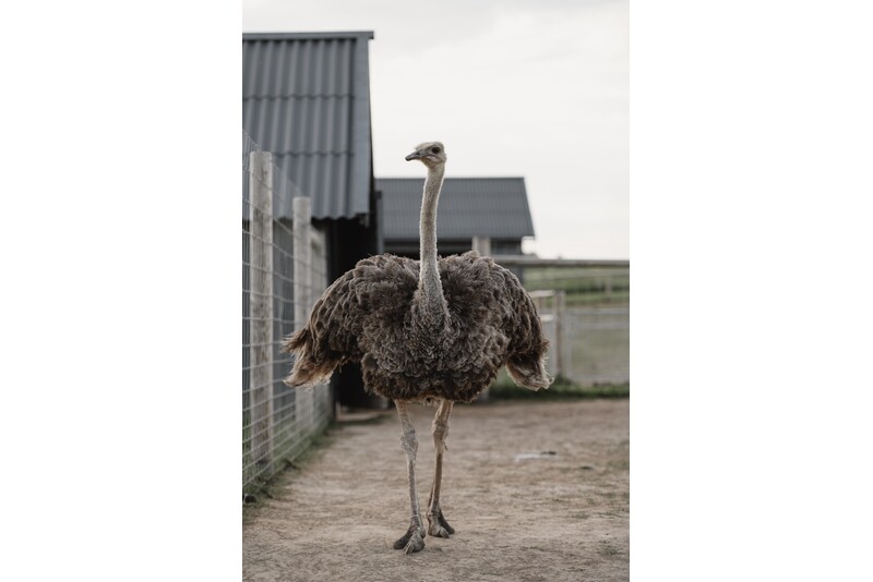 „Siguldos ZOO“ ir papūgų namo lankymas