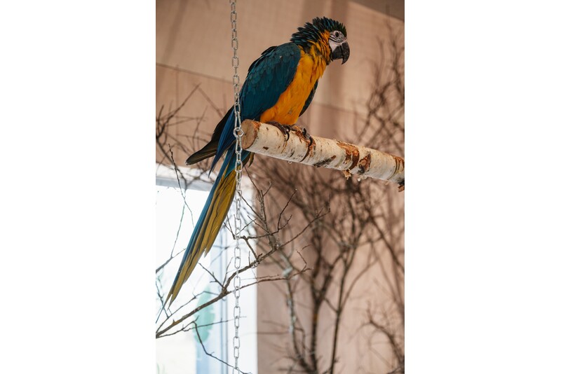 „Siguldos ZOO“ ir papūgų namo lankymas