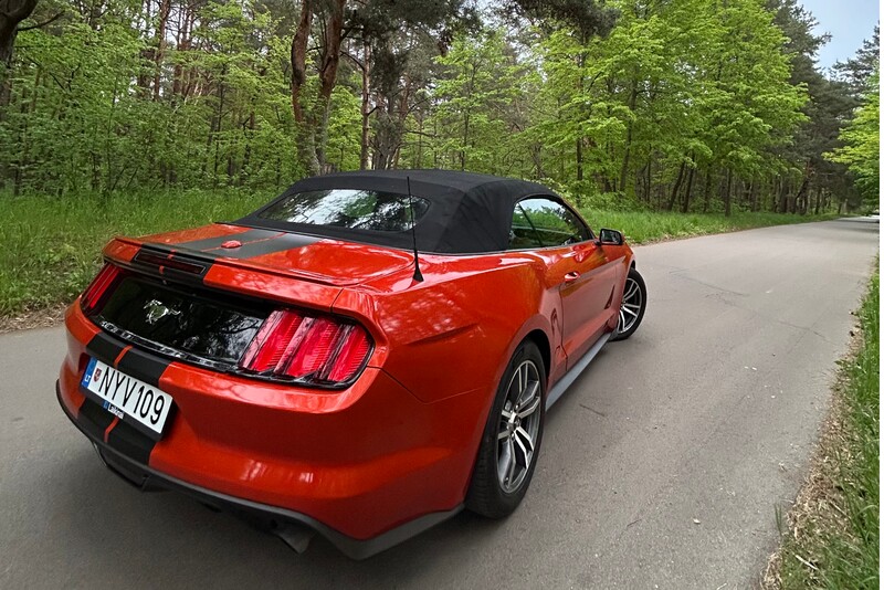 Pasivažinėjimas išskirtiniu Ford Mustang Cabrio automobiliu 1-4 asmenims