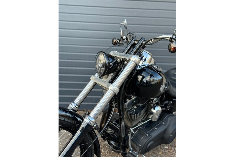 Pasivažinėjimas pasirinktu motociklu HARLEY-DAVISON