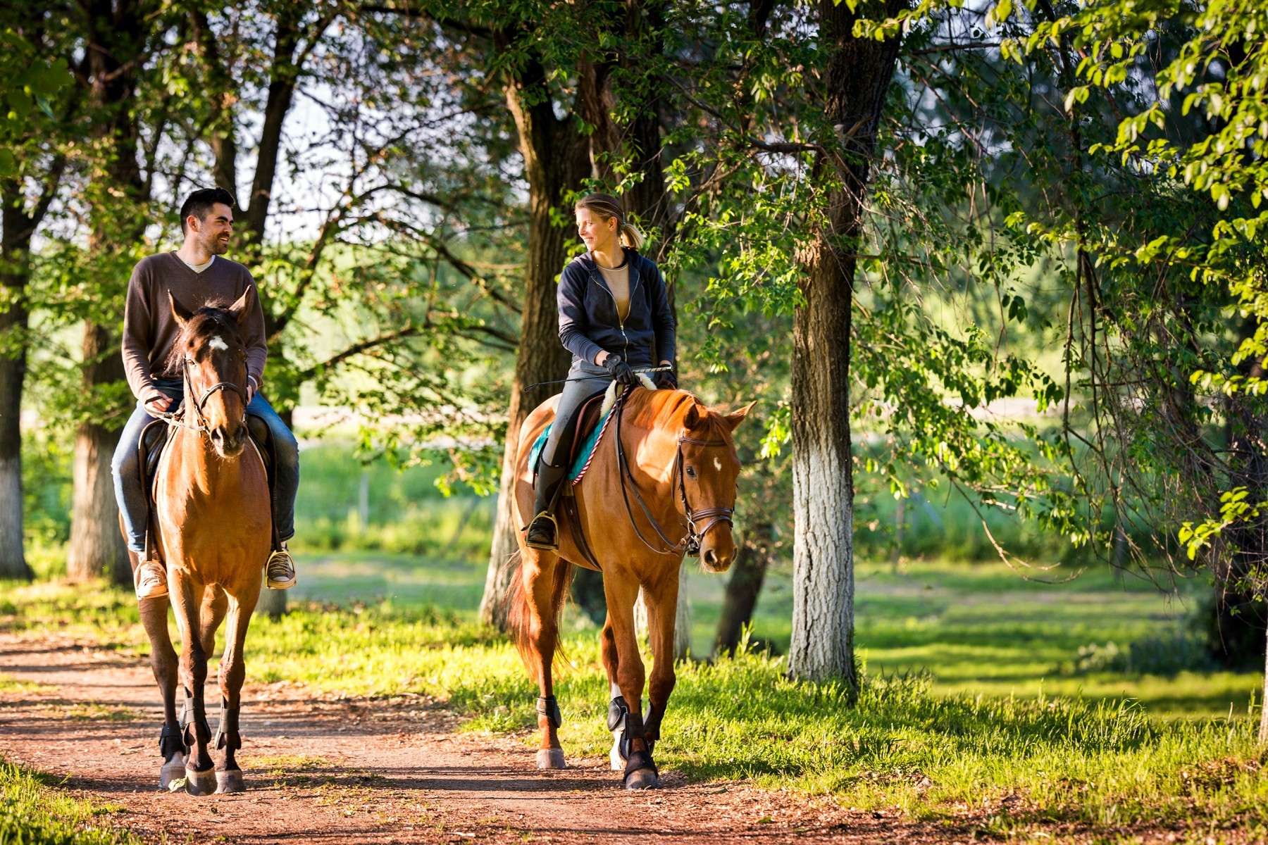 Покататься на коне. Конные прогулки в долине Сукко родине кипарисов. Прогулка на конях. Верховые прогулки на лошадях. Прогулка по лесу на лошадях.