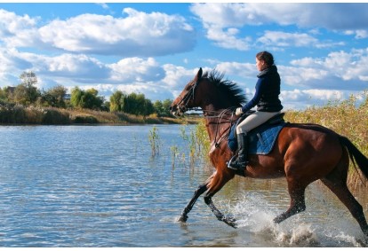 Jodinėjimas žirgais Kauno marių pakrante