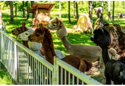 Apsilankymas „Taujėnų dvaro“ parke ir zoo sode