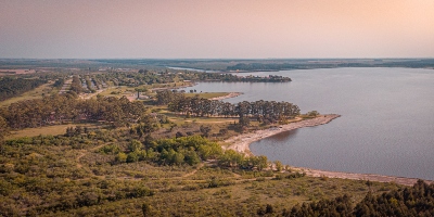 Kuršių nerija