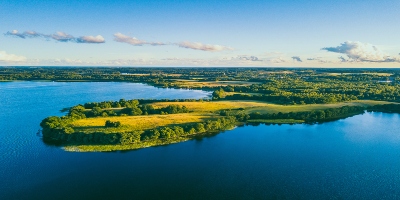 Plateliai