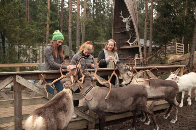 Perhelippu Nuuksion Poropuistoon