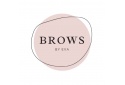 Brows by Eva
