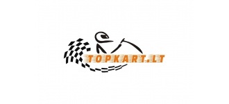 TopKart