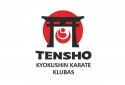 Tensho Kyokushin Karate 