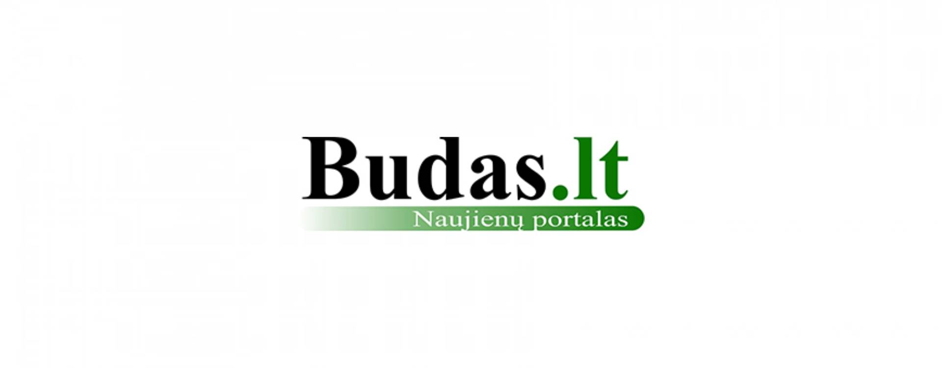 BUDAS.LT - MASAŽŲ VILNIUJE IR KAUNE ĮVAIROVĖS APŽVALGA